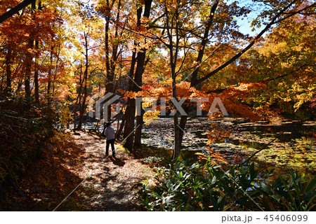 矢ノ原湿原へ行きました　　＃2 45406099