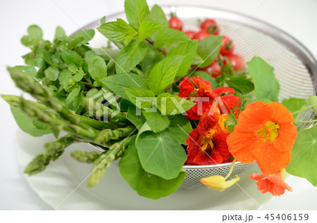 野菜の収穫 野菜の収穫 45406159
