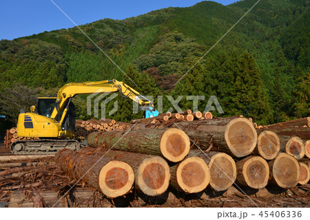杉の丸太とユンボ 杉の丸太とユンボ 45406336