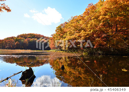 矢ノ原湿原へ行きました　　＃19 45406349