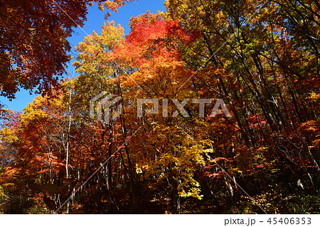 矢ノ原湿原へ行きました　　＃15 45406353