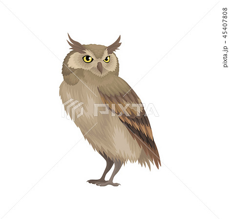 Flat vector icon of long-eared owl isolated on white background. Wild bird with brown feathers 45407808
