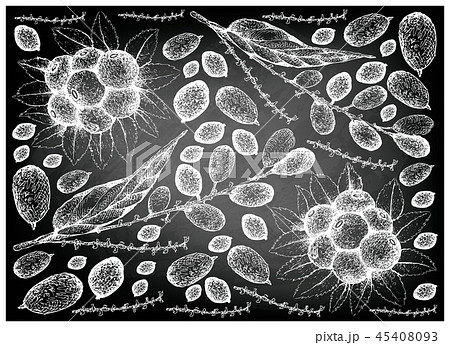 Huckleberries and Lepisanthes Rubiginosa Fruits 45408093