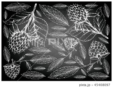 Korean Black Raspberries and Golden Raspberries 45408097