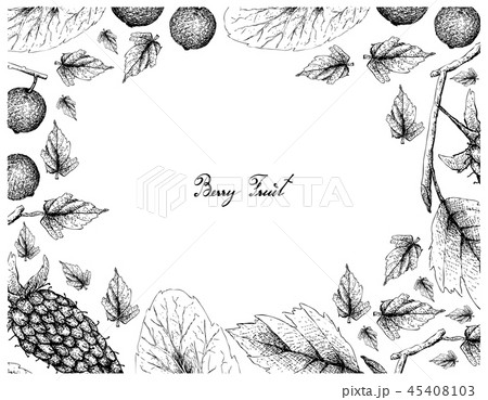 Frame of Loganberries and Madagascar Plums Frame of Loganberries and Madagascar Plums 45408103