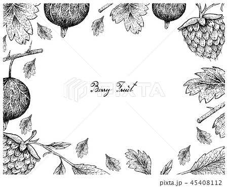 Frame of Gooseberries and Golden Raspberries Frame of Gooseberries and Golden Raspberries 45408112