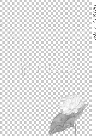 喪中ハガキ はす 水墨画 45408368