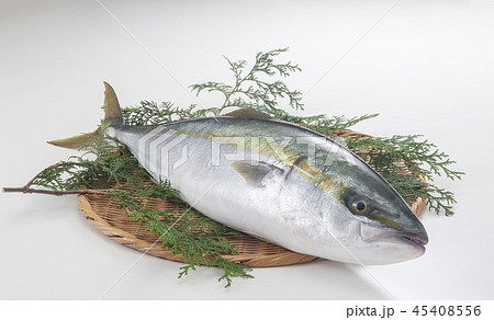 ぶり　一匹 45408556