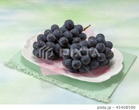 巨峰 巨峰 45408590