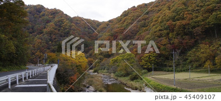 比和川　紅葉　道路　歩道　バナー 45409107