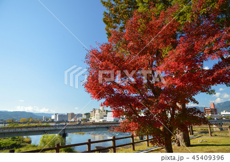 秋の人吉城跡 秋の人吉城跡 45409396