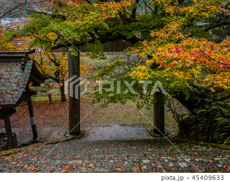 紅葉の養父神社 45409633