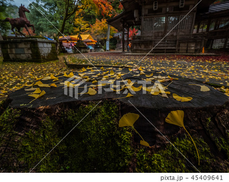 紅葉の養父神社 紅葉の養父神社 45409641