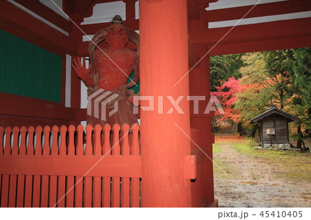 君尾山 国宝 二王門 君尾山 国宝 二王門 45410405