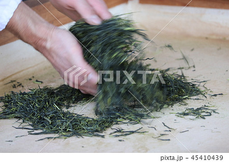 お茶の手揉み 45410439