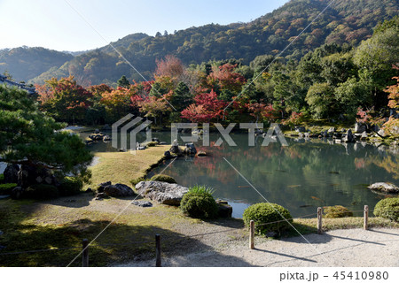 天龍寺 曹源池 天龍寺 曹源池 45410980