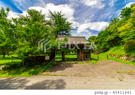 勘助曲輪から見た楼門 高遠城 45411341