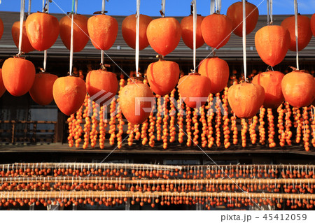 枯露柿(ころ柿)と古民家 甲州市 枯露柿(ころ柿)と古民家 甲州市 45412059