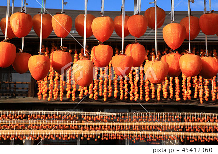 枯露柿(ころ柿)と古民家 甲州市 枯露柿(ころ柿)と古民家 甲州市 45412060