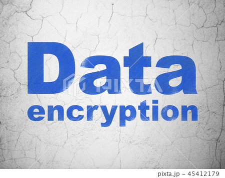 Privacy concept: Data Encryption on wall background 45412179