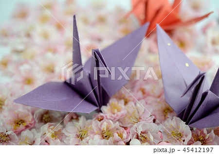 和風イメージ 45412197