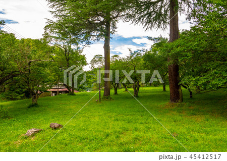 三の丸曲輪 伊那市高遠城 三の丸曲輪 伊那市高遠城 45412517