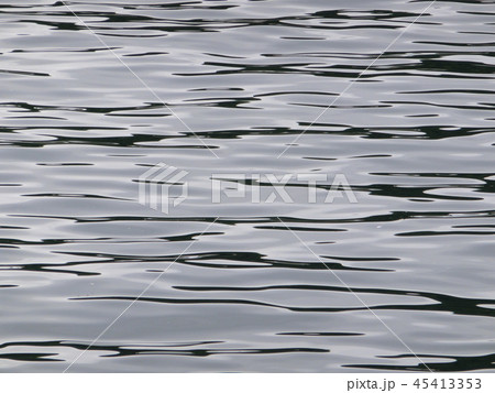 駿河湾の豊かな海 45413353