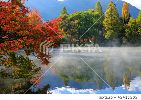 秋の湯布院 朝霧たちこめる朝の金鱗湖と紅葉 秋の湯布院 朝霧たちこめる朝の金鱗湖と紅葉 45415505