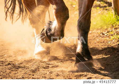 走る馬 45415777