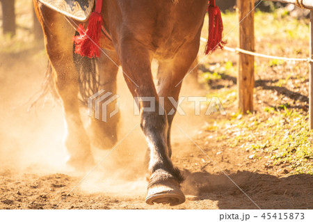 走る馬 走る馬 45415873