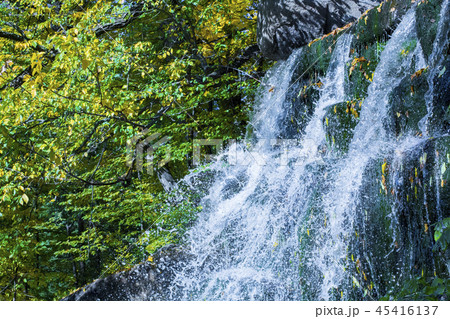 Waterfall in the park Waterfall in the park 45416137