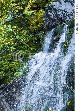 Waterfall in the park Waterfall in the park 45416140