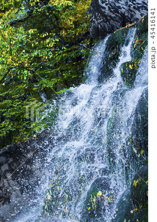 Waterfall in the park Waterfall in the park 45416141