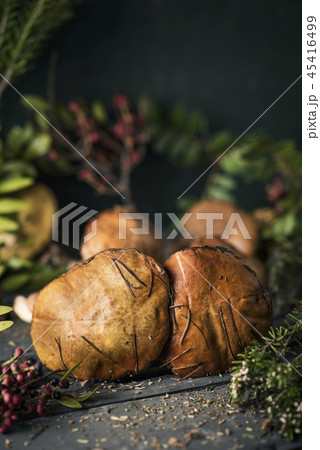 yellow knight mushrooms on a table yellow knight mushrooms on a table 45416499