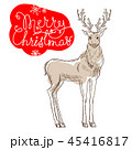 Christmas reindeer isolated on white background card 45416817