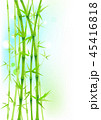 Bamboo green asian trees on white background 45416818