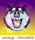 Geometric head of husky dog with bright background 45416838
