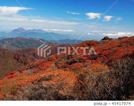 くじゅうの紅葉 45417074