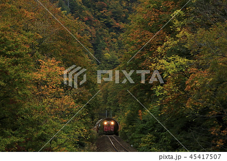 紅葉の只見線 45417507