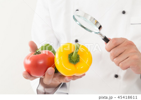 食品管理 食品管理 45418611