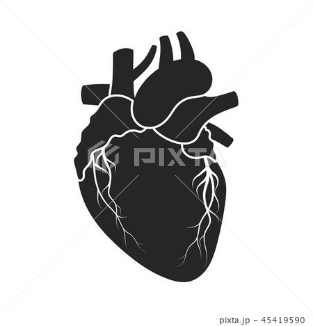 Heart icon in black style isolated on white background. Organs symbol stock vector illustration. Heart icon in black style isolated on white background. Organs symbol stock vector illustration. 45419590