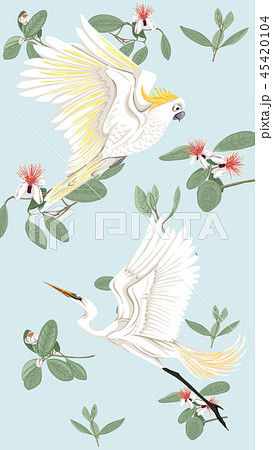Pattern, background with with feijoa flowers Pattern, background with with feijoa flowers 45420104