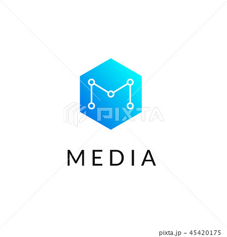 Hexagonal geometrical social network logo Hexagonal geometrical social network logo 45420175