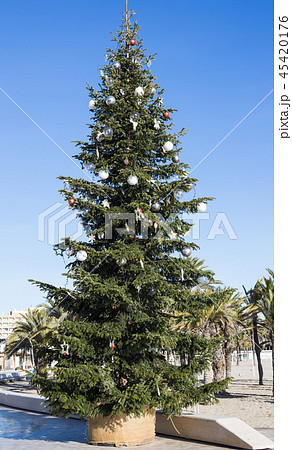 Festive Christmas tree in the city centre in sunny day Festive Christmas tree in the city centre in sunny day 45420176
