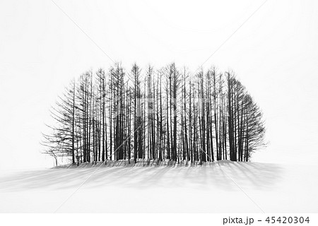 Biei, Hokkaido, Japan Winter Countryside Biei, Hokkaido, Japan Winter Countryside 45420304
