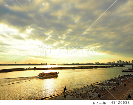 葛西臨海公園 汐風の広場葛西臨海公園 葛西臨海公園 汐風の広場葛西臨海公園 45420658