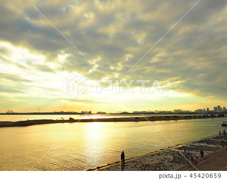 葛西臨海公園 汐風の広場葛西臨海公園 葛西臨海公園 汐風の広場葛西臨海公園 45420659