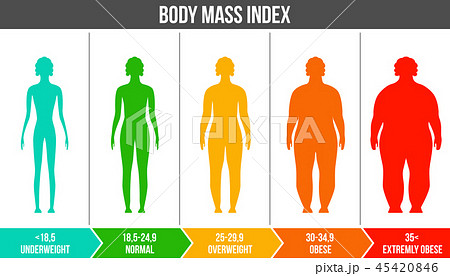 Creative Vector Illustration of Bmi, Body Mass Index Infographic Chart with  Silhouettes and Scale Isolated on Stock Vector - Illustration of chart,  female: 140500362
