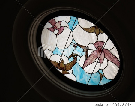 鳥 ステンドグラス 鳥 ステンドグラス 45422747