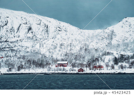 Red rorbu houses in Norway in winter Red rorbu houses in Norway in winter 45423425